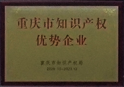 重庆市知识产权优势企业